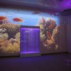 Проекционный дизайн "Виртуальная реальность" базовый комплект 500 анимаций - «globural.ru» - Воткинск