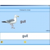 Английский язык. Освоение клавиатуры - «globural.ru» - Воткинск