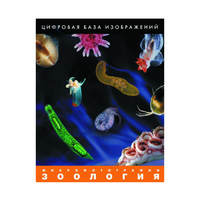 Зоология. Микрофотографии. (Цифровая база изображений) - «globural.ru» - Воткинск