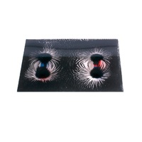 Набор «Эксперименты с магнитным полем» - «globural.ru» - Воткинск