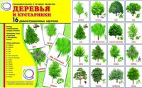Демонстрационные карточки "Деревья и кустарники" - «globural.ru» - Воткинск