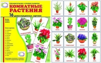 Демонстрационные карточки "Комнатные растения" - «globural.ru» - Воткинск
