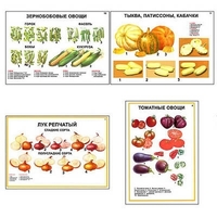 Плакаты ПРОФТЕХ "Ассортимент овощных культур" (12 пл, винил, 70х100) - «globural.ru» - Воткинск