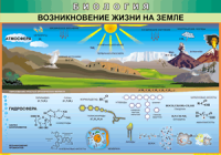Таблица Возникновение жизни на Земле 1000*1400 винил - «globural.ru» - Воткинск