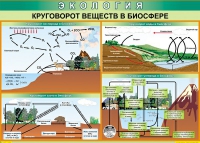 Таблица Круговорот веществ в биосфере 1000*700 винил - «globural.ru» - Воткинск