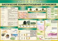 Таблица Биотические взаимоотношения организмов 1000*700 (винил) - «globural.ru» - Воткинск