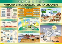 Таблица Антропогенное воздействие на биосферу 1000*700 винил - «globural.ru» - Воткинск