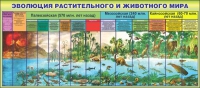 Стенд "Эволюция растительного и животного мира" - «globural.ru» - Воткинск