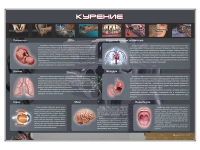 Стенд "Курение" (вариант 1) - «globural.ru» - Воткинск