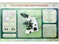 Электрифицированный стенд "Устройство микроскопа и правила работы c ним" - «globural.ru» - Воткинск