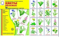 Демонстрационные карточки "Цветы полевые" - «globural.ru» - Воткинск