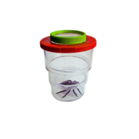 Коробка для изучения насекомых с лупой (вариант 2) - «globural.ru» - Воткинск