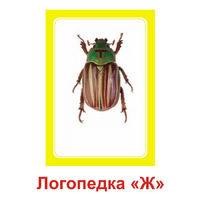 Логопедка "Ж" (логопедические карточки) - «globural.ru» - Воткинск