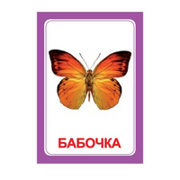 Логопедка "Ч" (логопедические карточки) - «globural.ru» - Воткинск