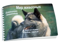 Пособие для слабовидящих "Домашние животные" - «globural.ru» - Воткинск
