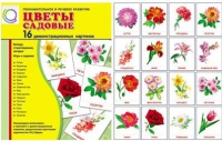 Демонстрационные карточки "Цветы садовые" - «globural.ru» - Воткинск