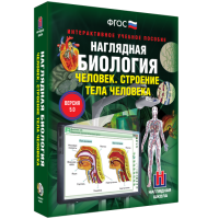Наглядная биология. Человек. Строение тела человека - «globural.ru» - Воткинск