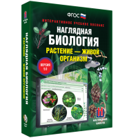 Наглядная биология. Растение - живой организм - «globural.ru» - Воткинск