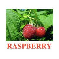 "Berries-1" ("Ягоды-1") английские карточки Домана - «globural.ru» - Воткинск