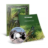 Электронное наглядное пособие «Птицы» - «globural.ru» - Воткинск