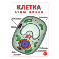 DVD Клетка - "атом жизни" - «globural.ru» - Воткинск