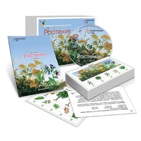 Комбинированное наглядное пособие «Растения» - «globural.ru» - Воткинск