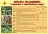 Плакат "Нормативы по радиационной, химической и биологической защите" - «globural.ru» - Воткинск