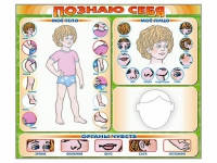 Стенд маркерный "Познаю себя" (тело, голова, органы чувств) - «globural.ru» - Воткинск