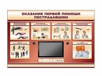 Многофункциональный интерактивный стенд-тренажер "Оказание первой помощи пострадавшим" для учащихся общеобразовательных учреждений - «globural.ru» - Воткинск