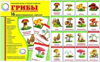 Демонстрационные карточки  "Грибы съедобные и не съедобные" - «globural.ru» - Воткинск