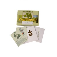 Гербарий "Деревья и кустарники" (22 вида, с иллюстрациями) - «globural.ru» - Воткинск