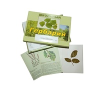 Гербарий "Дикорастущие растения" (30 видов, с иллюстрациями) - «globural.ru» - Воткинск