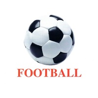 Карточки Домана "Sports equipment-1" ("Спортинвентарь-1") на английском языке - «globural.ru» - Воткинск
