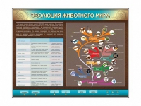 Интерактивный электрифицированный стенд "Эволюция животного мира" - «globural.ru» - Воткинск