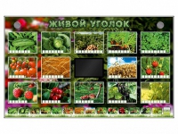 Комплект оборудования "Живой уголок" (растения) - «globural.ru» - Воткинск