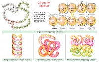 Плакаты и таблицы по общей химии - «globural.ru» - Воткинск