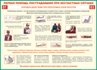 Таблица Порядок действий при переломах конечностей 1000*1400 винил - «globural.ru» - Воткинск