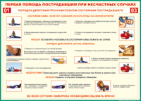 Таблица Порядок действий при коматозном состоянии пострадавшего 1000*1400 винил - «globural.ru» - Воткинск