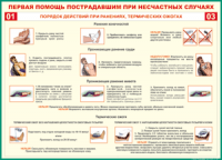 Таблица Порядок действий при ранениях и термических ожогах	 1000*1400 винил - «globural.ru» - Воткинск