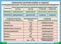 Химия. Сравнение понятий изомер и гомолог. Функциональные группы классов органических веществ (винил) - «globural.ru» - Воткинск