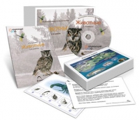 Комбинированное наглядное пособие «Животные» - «globural.ru» - Воткинск