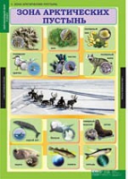 Окружающий мир 4 класс (комплект таблиц) - «globural.ru» - Воткинск