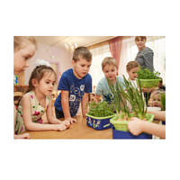 Обучающий комплект экологической направленности "Сити-фермер 2.0 Детский сад" 20 человек - «globural.ru» - Воткинск