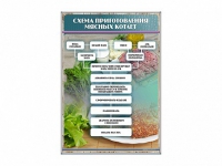 Стенд "Схема приготовления мясных котлет" - «globural.ru» - Воткинск