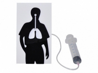 Демонстрационная модель "Эффект курения" - «globural.ru» - Воткинск