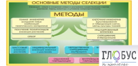 Стенд "Методы селекции и биотехнологии" - «globural.ru» - Воткинск