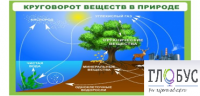 Стенд "Круговорот веществ" - «globural.ru» - Воткинск