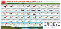 Стенд "Красная книга РФ" - «globural.ru» - Воткинск