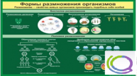 Стенд "Формы размножения организмов" - «globural.ru» - Воткинск
