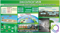 Стенд "Экология. Антропогенное воздействие на биосферу" - «globural.ru» - Воткинск